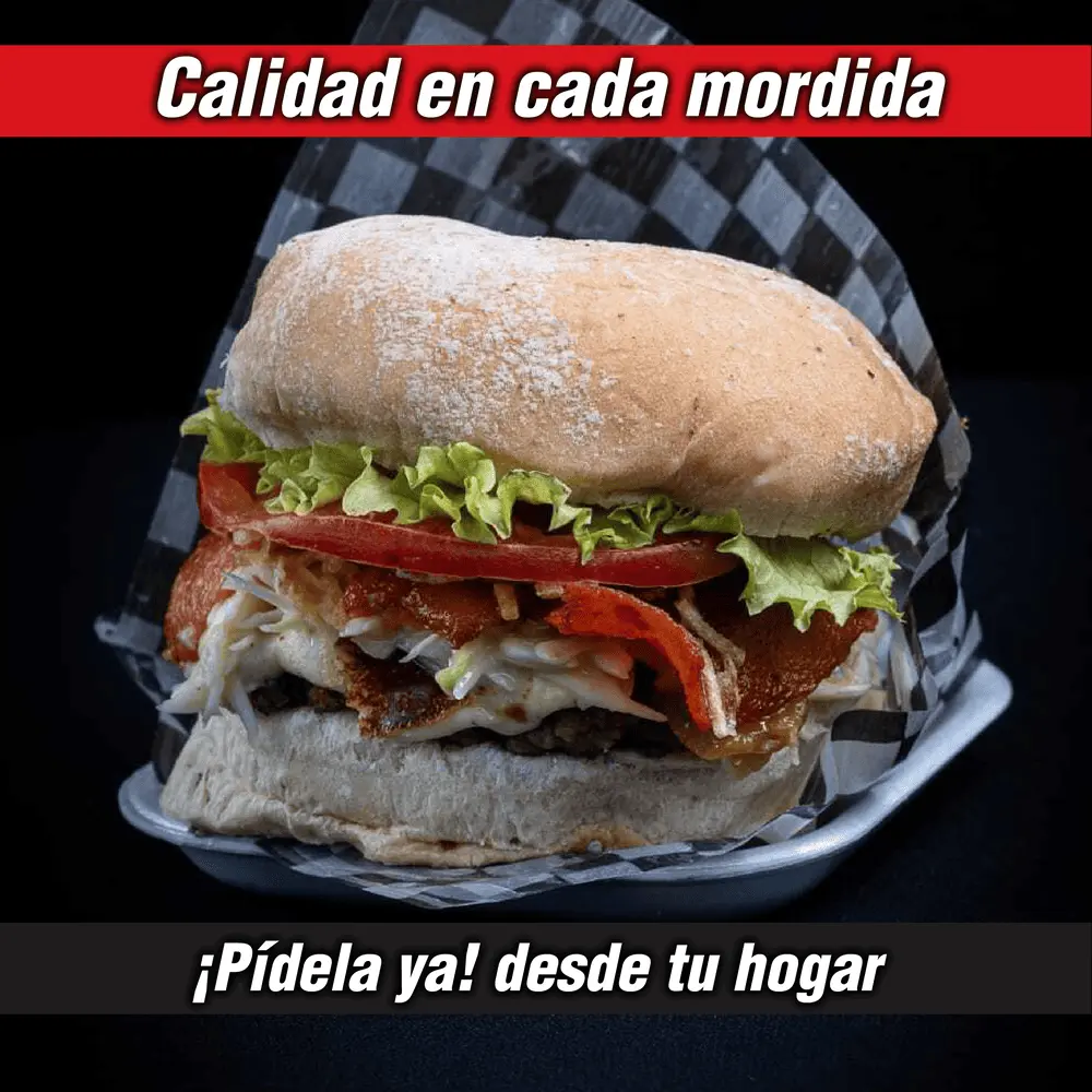 Detalle visual 5 de Marketing Digital y Gestión de Redes – Patatas Home: undefined